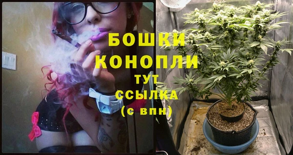 ПСИЛОЦИБИНОВЫЕ ГРИБЫ Липки